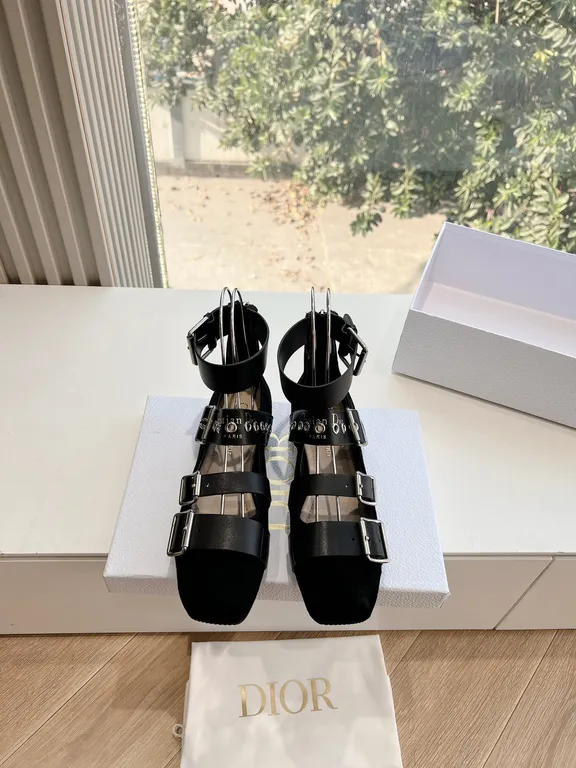 Dior Shoe 